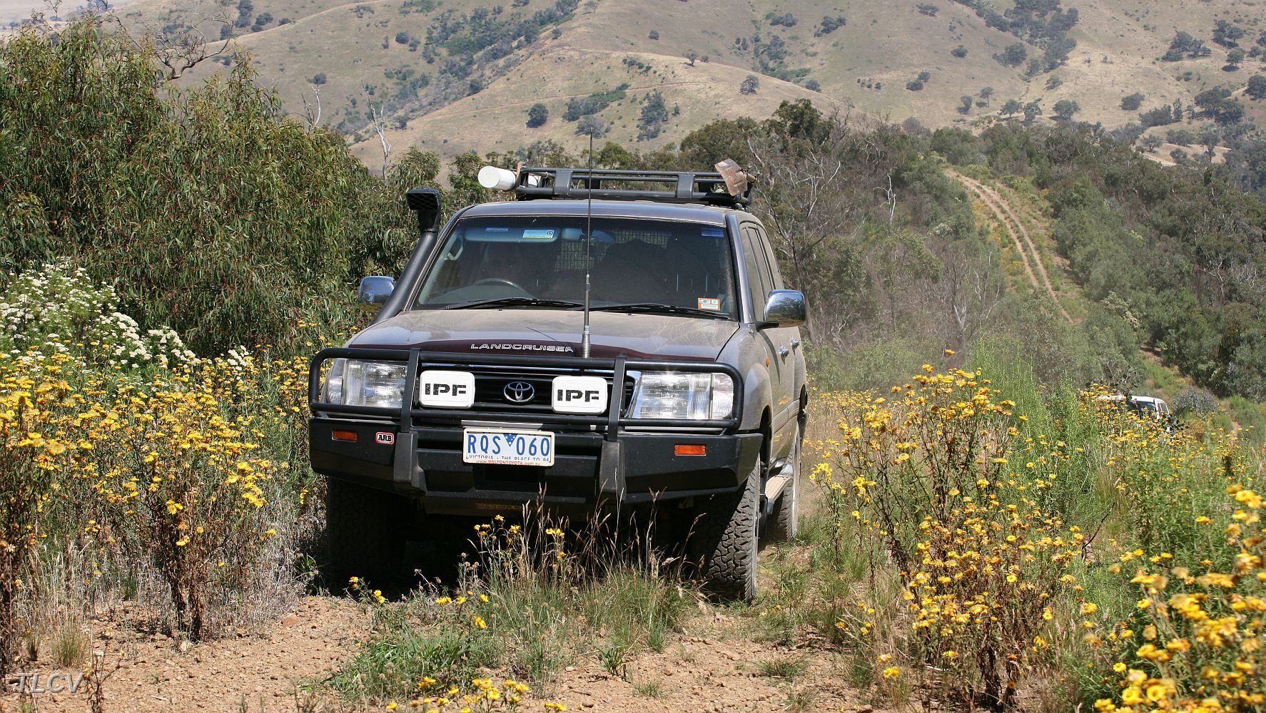 05-Drifter takes in the scenery on Hammond Break.JPG